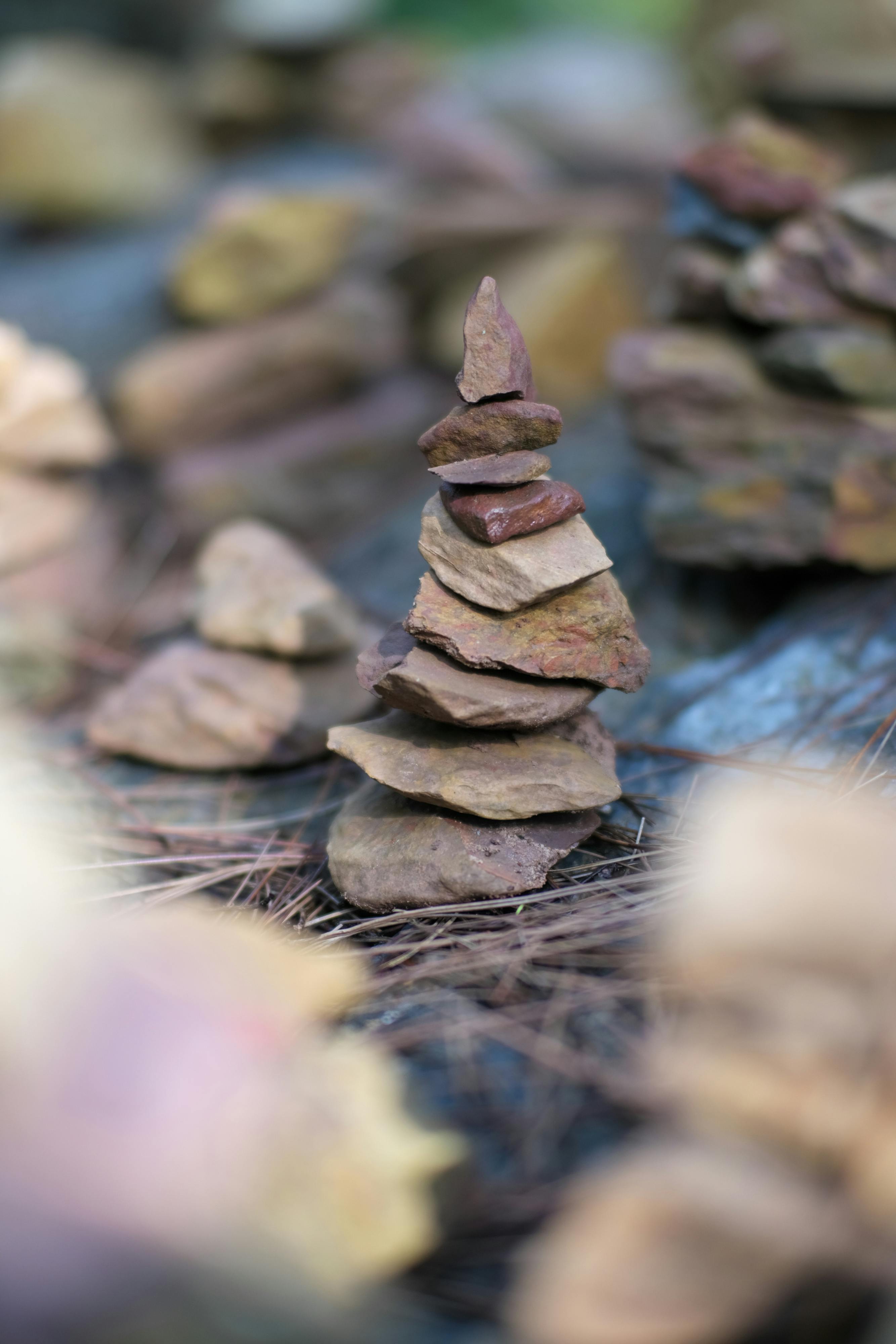 Trung tâm nghiên cứu văn học, phát triển nhà văn Việt Nam