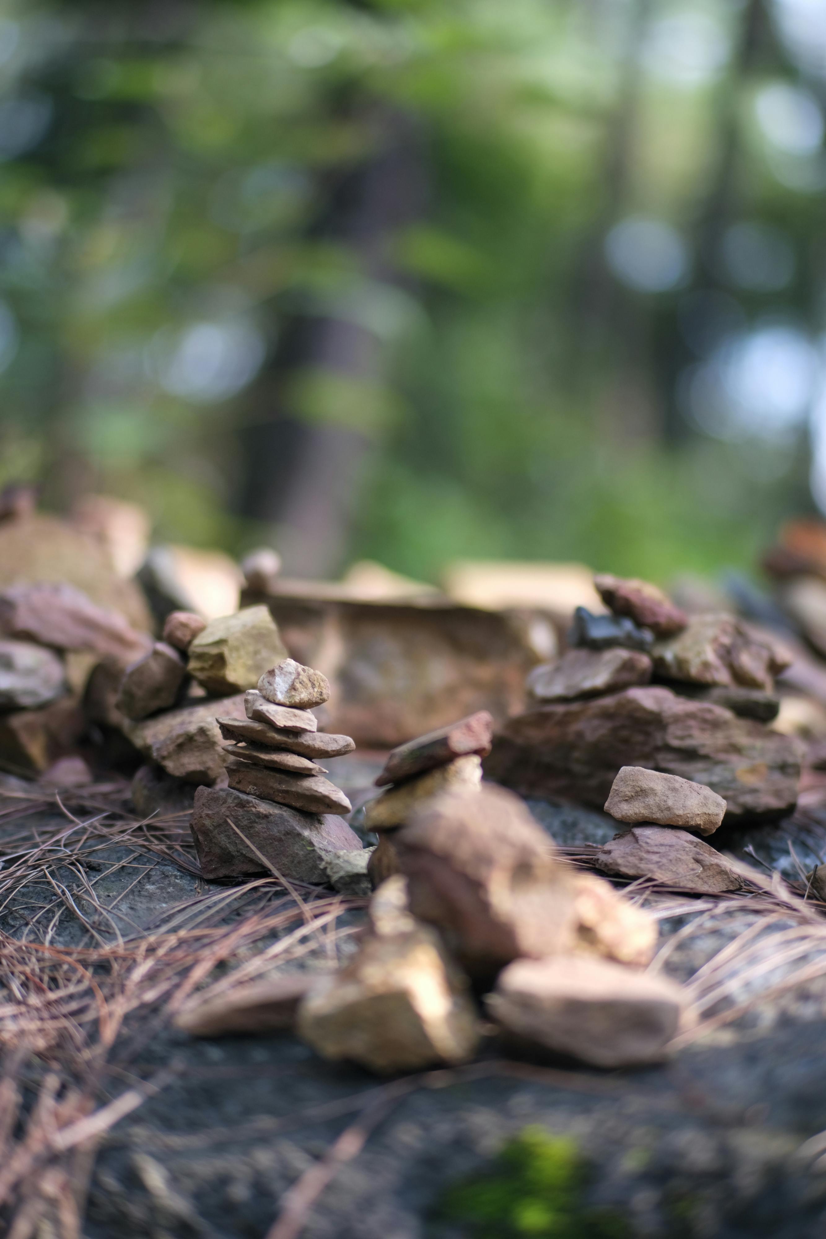 Thám tử lừng danh Conan | Chương 0319 832 – manga, gosho aoyama, case closed, tham tu lung danh conan, conan, detective conan, truyen tranh, trinh tham, pha an, trinh tham, kinh di, truyen conan, doc truyen conan, tham tu lung danh conan chuong 0309, tham tu lung danh conan 0309, tham tu lung danh conan 0319.