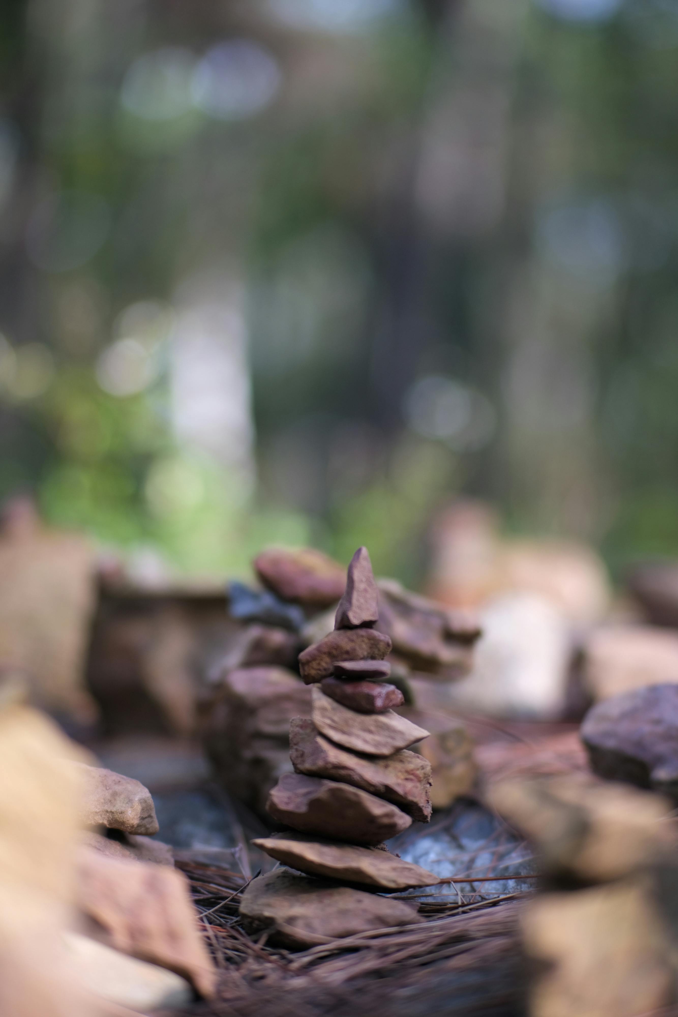 Free Booking Links trong Google Hotel Ads Free Booking Links trong Google Hotel Ads 832 – viet thue, marketing, khach san, b2b, kenh ota, free booking links, channel manager, property management system, google, google console, seo, google seo, khach san free booking links so sanh.