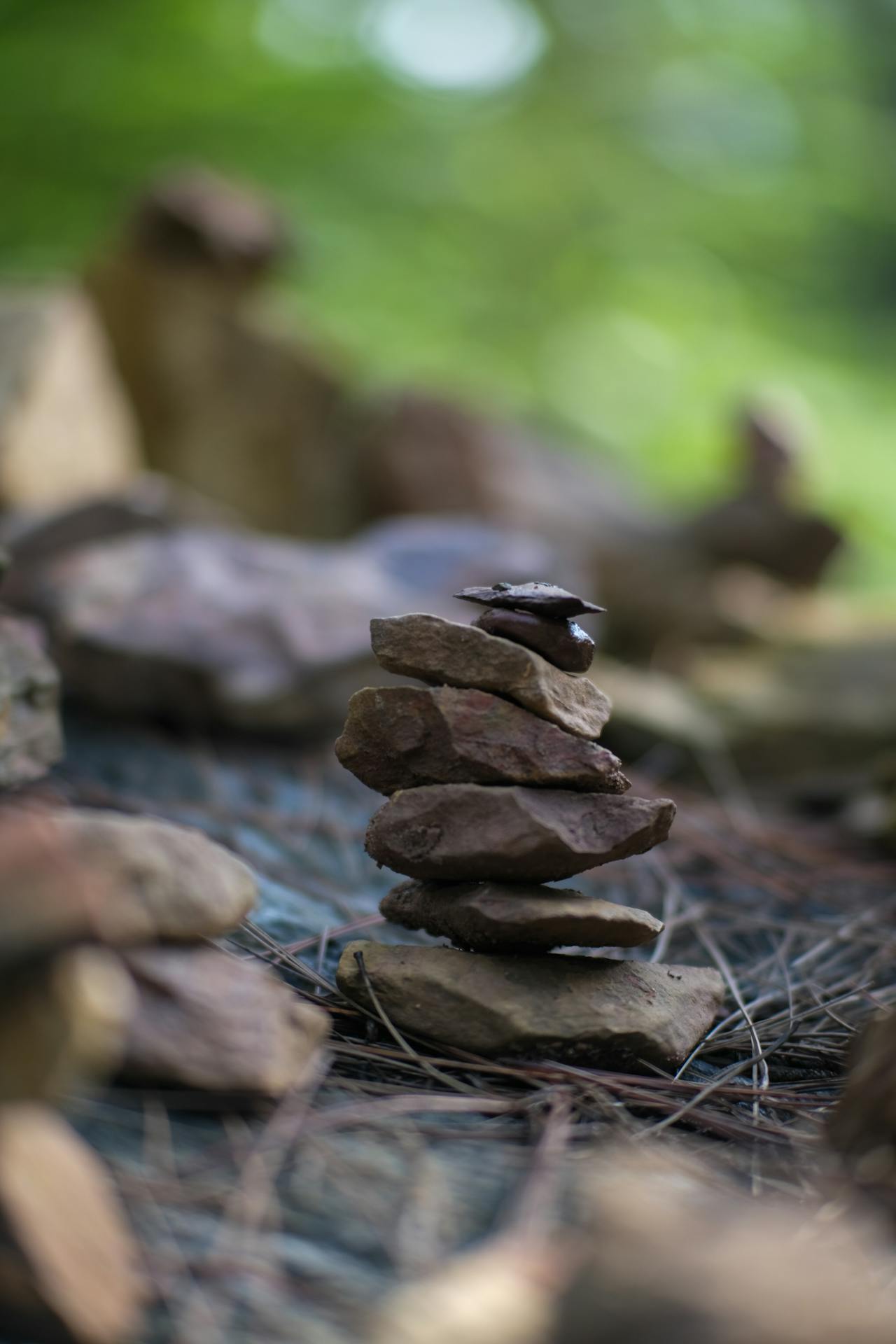 Biên niên ký chim vặn dây cót | Chương 14