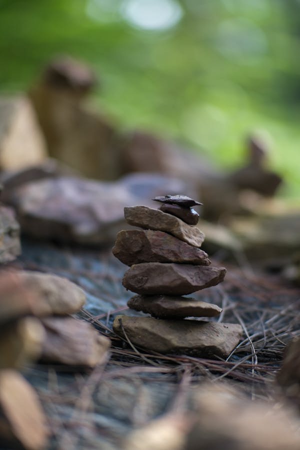 Trung tâm nghiên cứu văn học, phát triển nhà văn Việt Nam