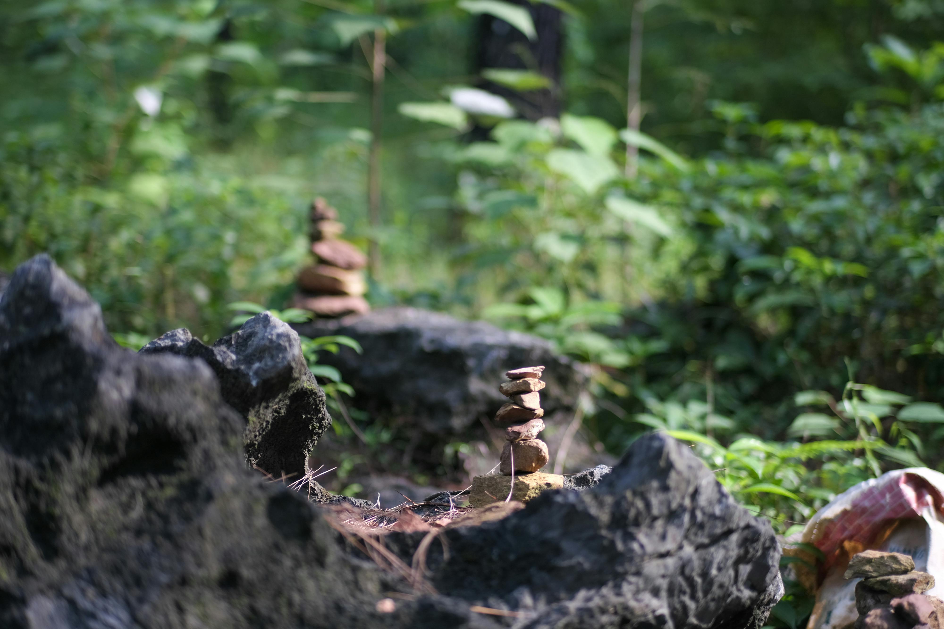 Gián điệp mạng | Chương 33 818 – clifford stoll, gian diep mang, an ninh mang, thu vien, van hoc, van hoc nuoc ngoai, gian diep mang chuong 33, gian diep mang 33.