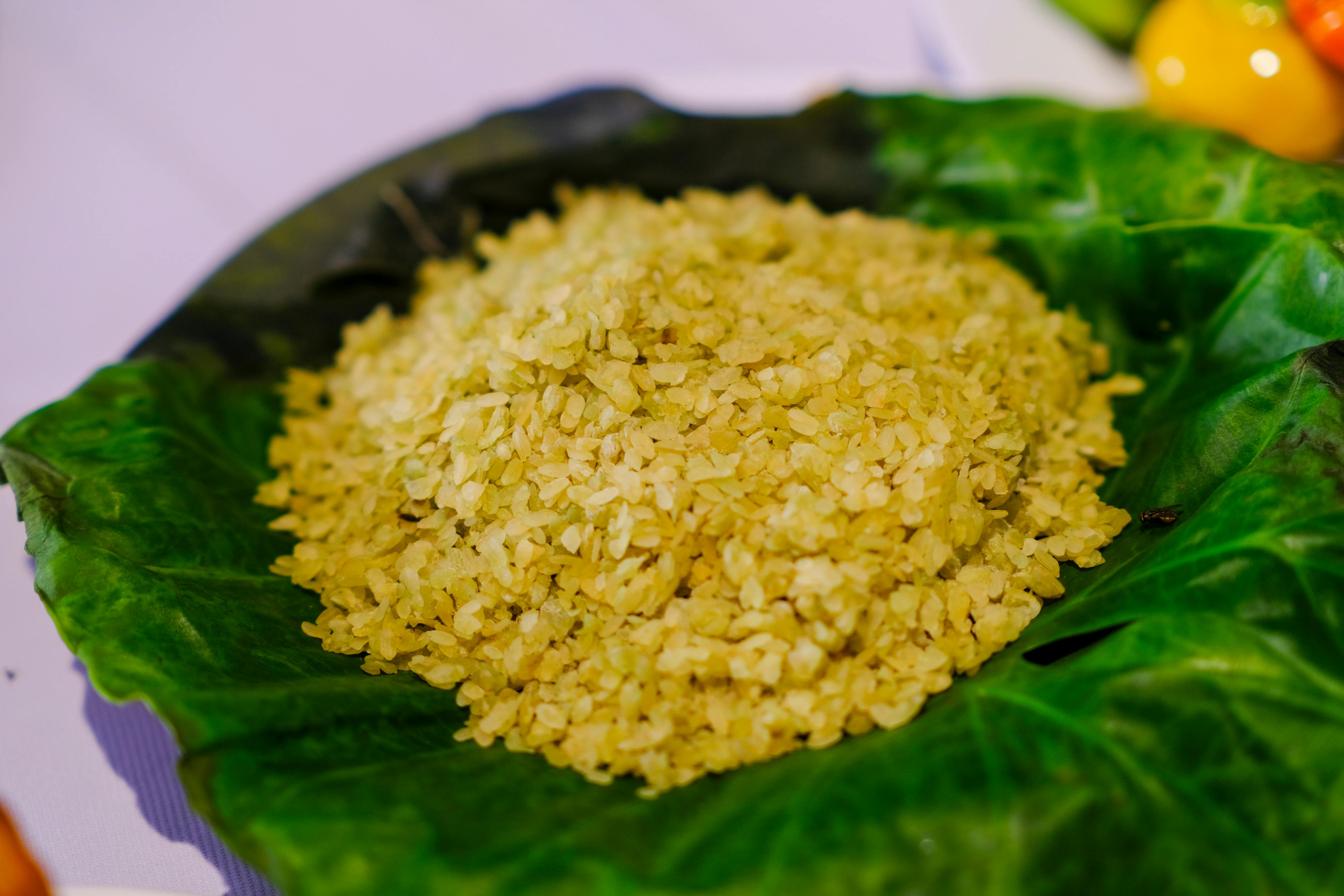 Trung tâm nghiên cứu văn học, phát triển nhà văn Việt Nam