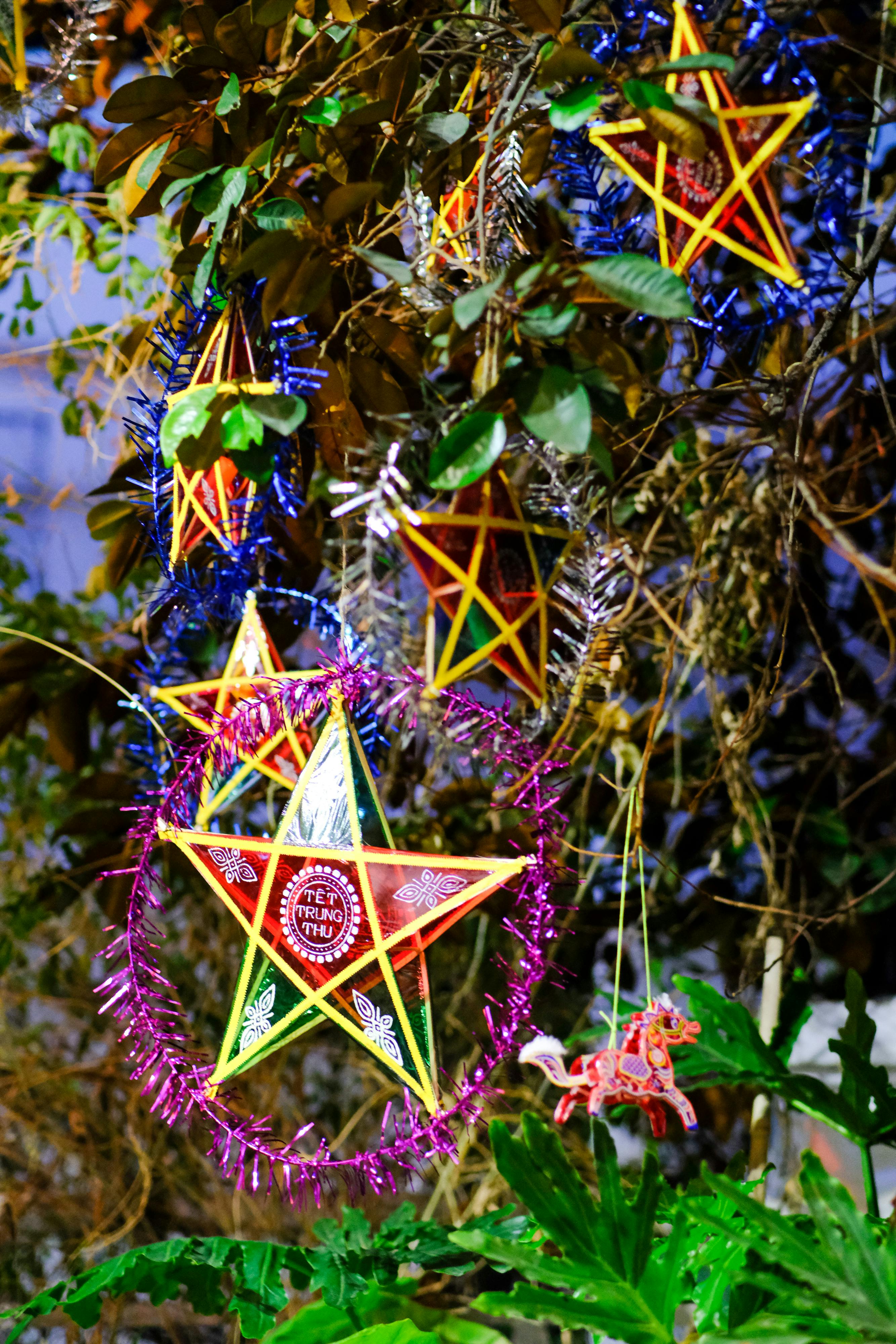 Tìm hiểu framework Astro.js thiết kế website 449 – google, google console, seo, google seo, redirect, website, website builder, developer, astro, astro js, deploy, framework.