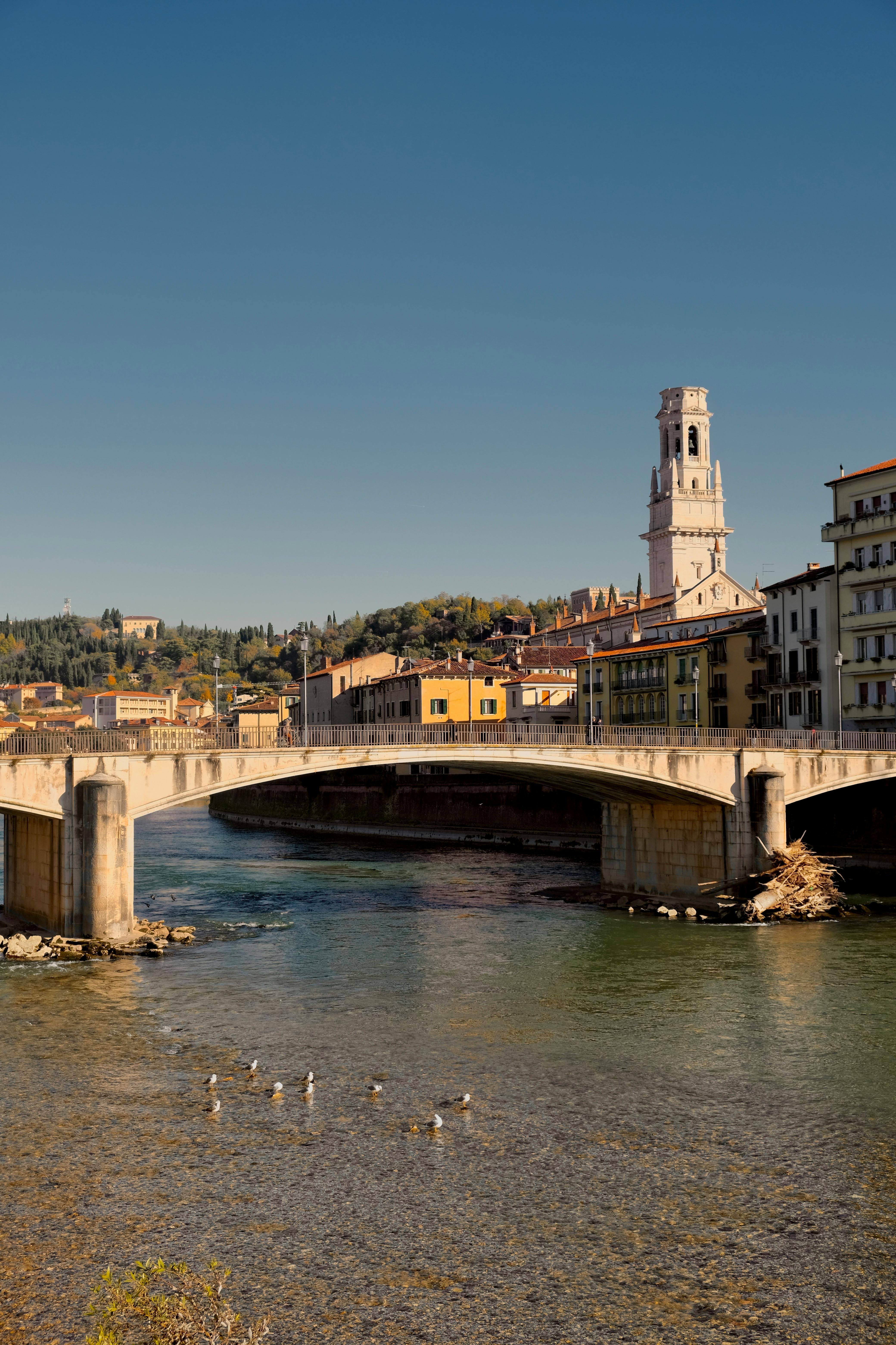 好的，我会按照您的要求进行句子优化