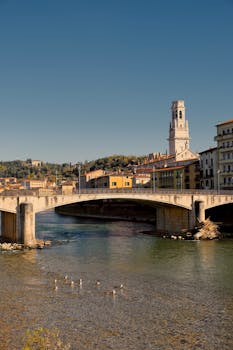 好的，我会按照您的要求进行句子优化