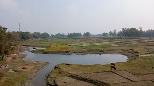 Free Bangladeshi nature  Stock Photo