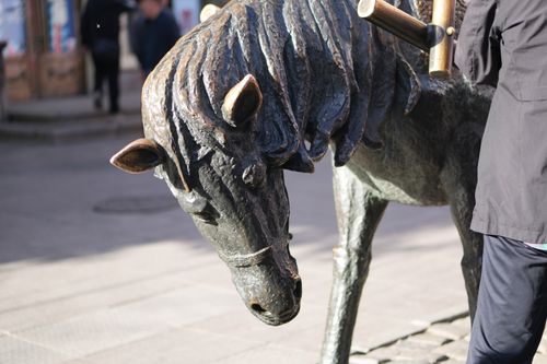 Free  Bronze Horse Statue in a City Stock Photo