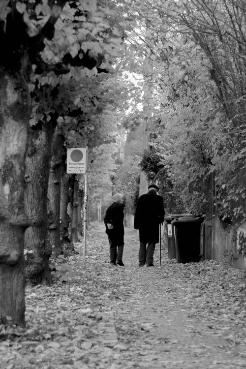 Free Black and white photo of an elderly couple walking through autumn leaves in Linz, Austria. Stock Photo