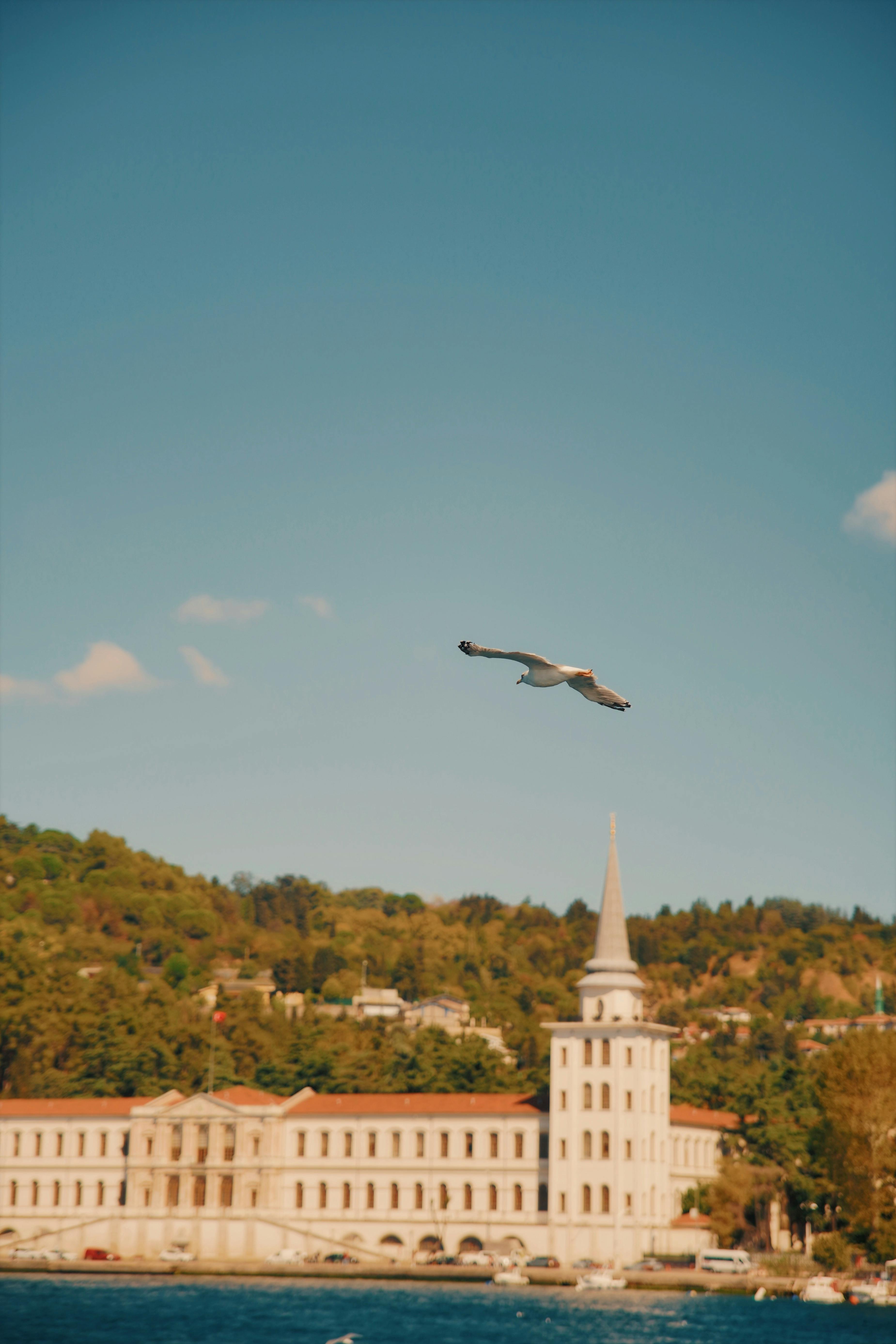 好的，请提供您需要我修改的句子