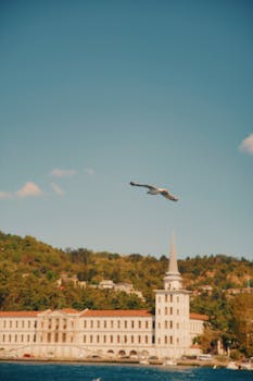 好的，请提供您需要我修改的句子
