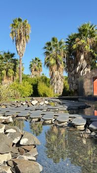 Palm trees reflected in a serene pool at a Lisbon park under a clear blue sky.