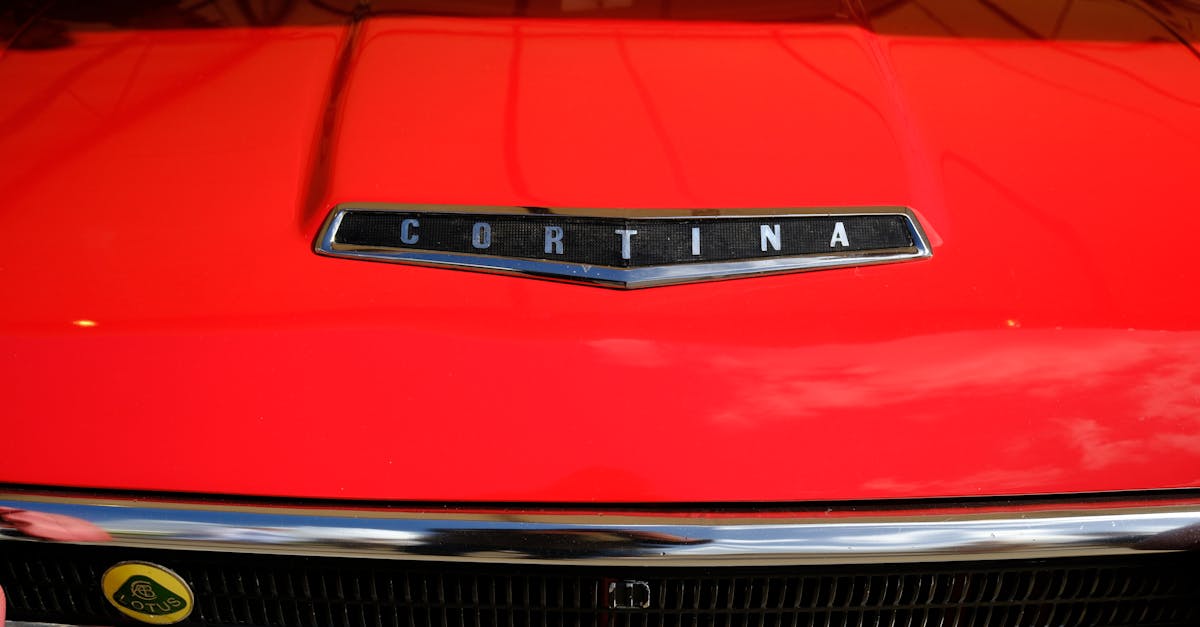 🏆【米兰冬奥会】热潮预热!女子单人滑你准备好了吗?❄️ 🏆【米兰冬奥会】热潮预热!女子单人滑你准备好了吗?❄️