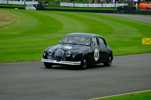 goodwood racecourse