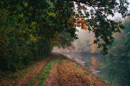 Free Explore a peaceful forest path by the river, vibrant with autumn colors in Poland. Stock Photo
