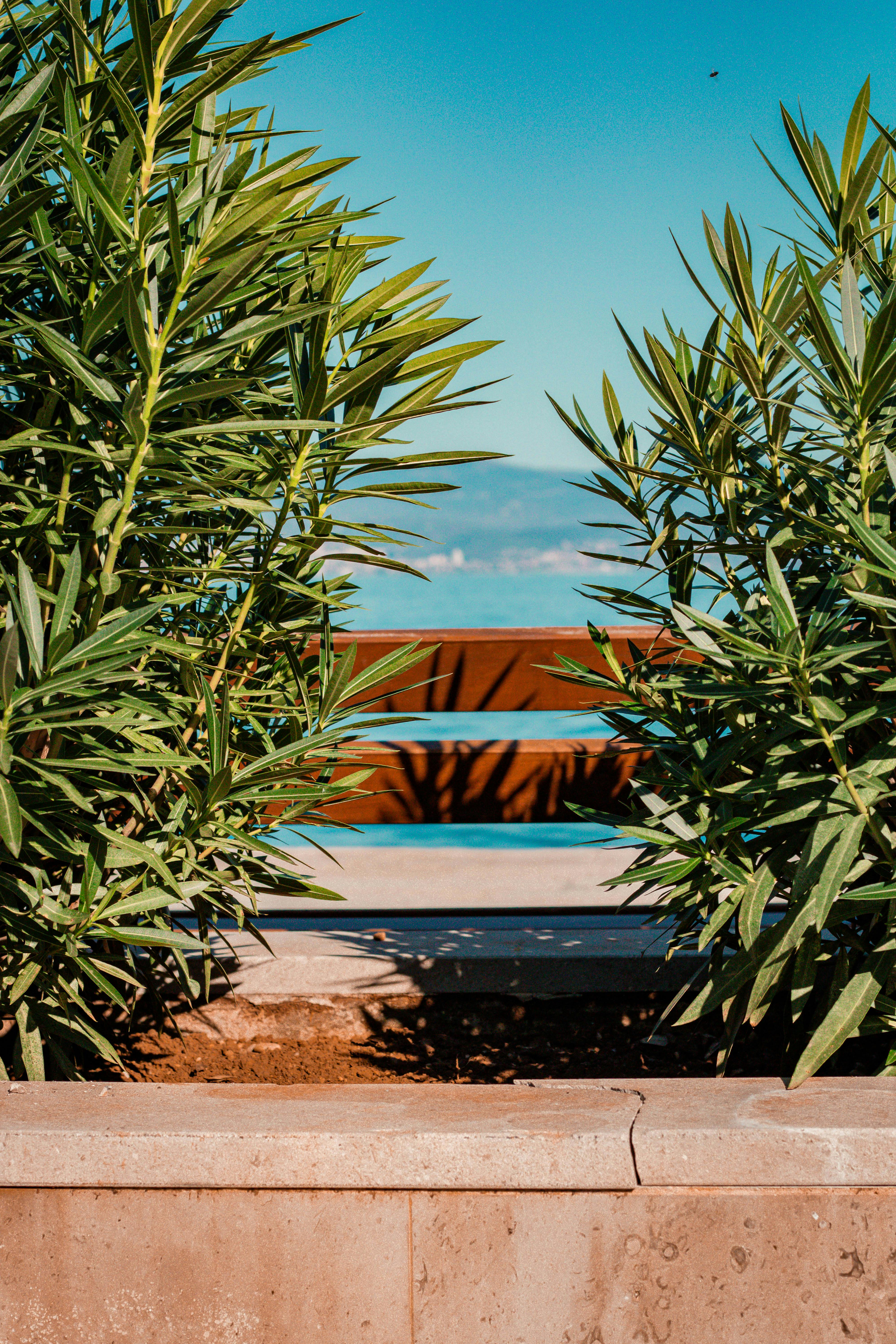 亚得里亚海，位于意大利和希腊之间，是地中海东部的一片海域