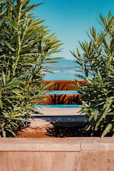 亚得里亚海，位于意大利和希腊之间，是地中海东部的一片海域