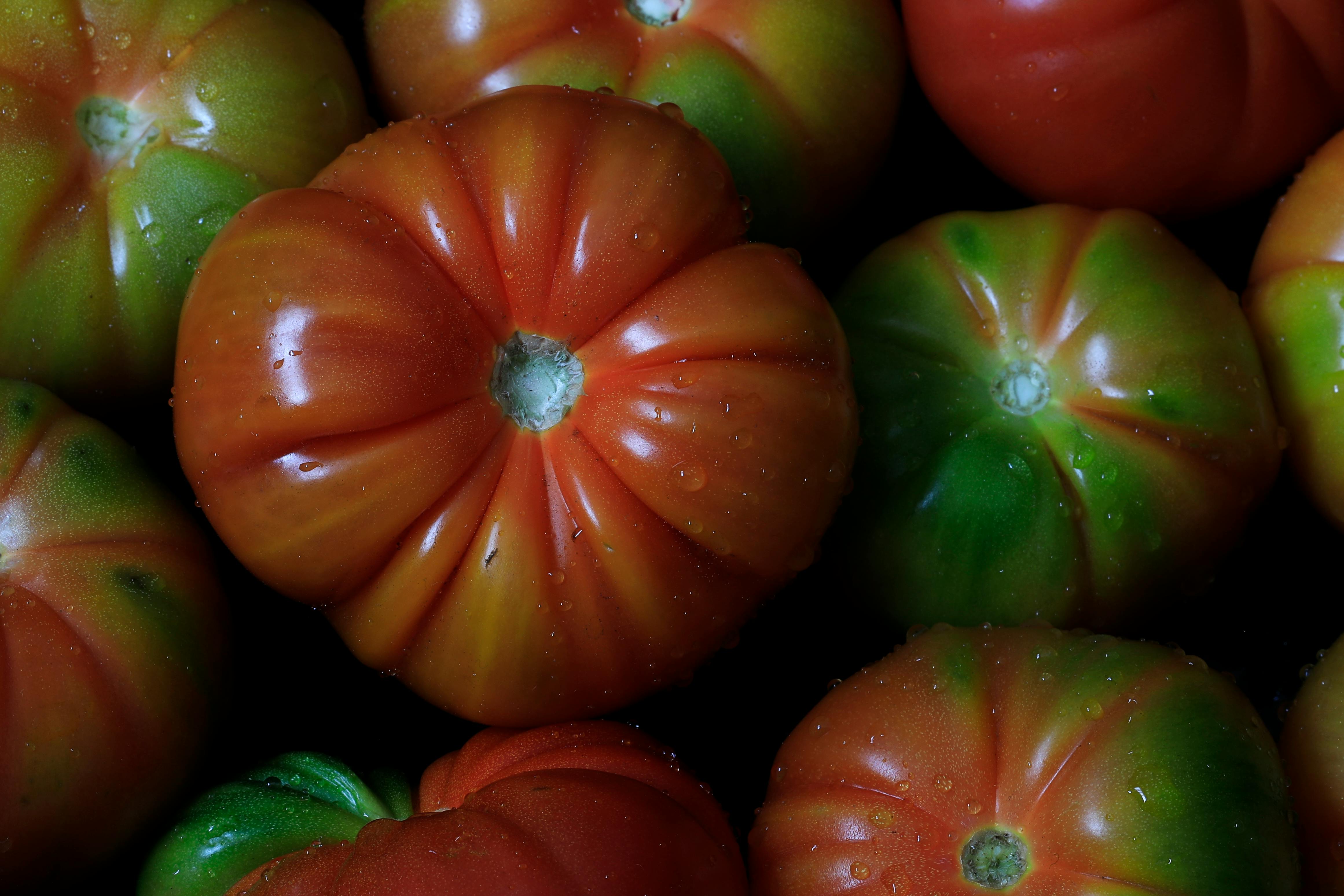 國際油價連續上漲創一週新高，市場鬆口氣背後原因揭曉