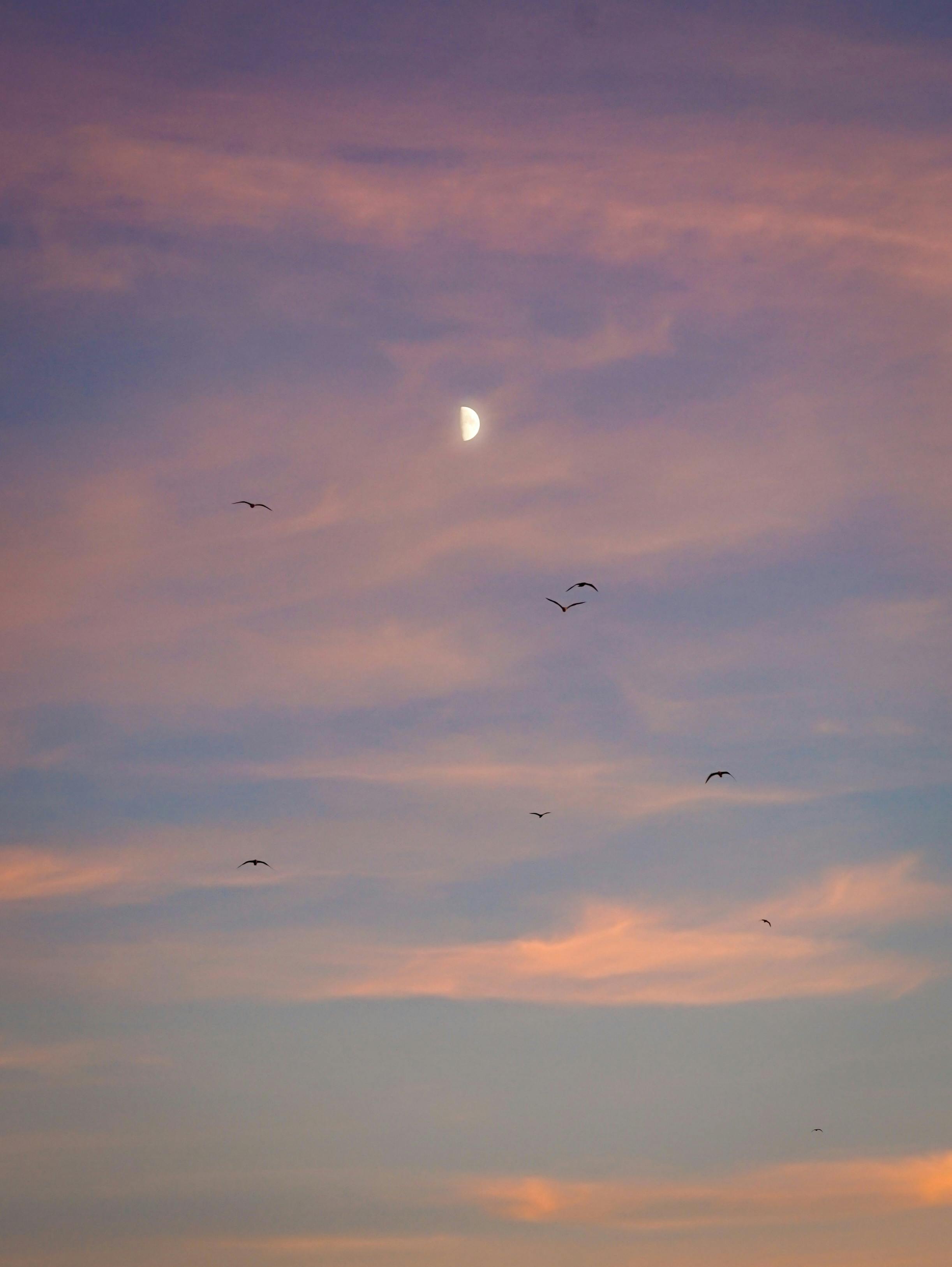 原句：
你是一名专业的文本编辑，擅长纠正由其他语言直译成中文时产生的不自然语序