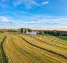 好的，请提供您需要优化的句子