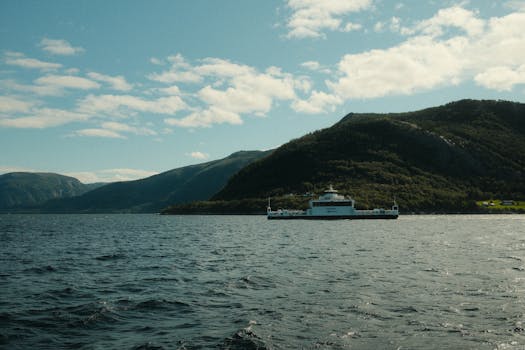 好的，我会按照您的要求进行句子的优化