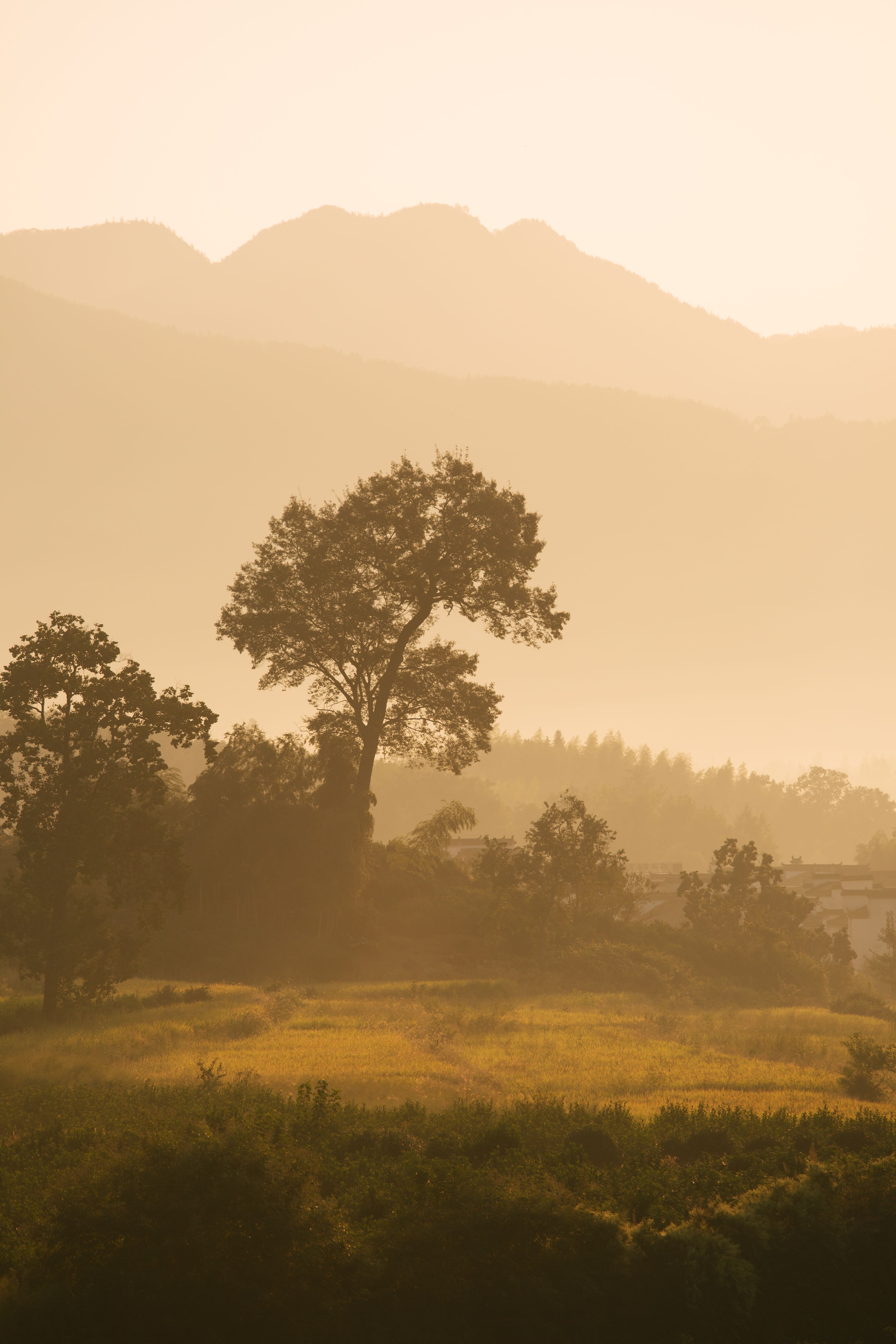Peaceful Sunrise Over Misty Countryside Landscape · Free Stock Photo