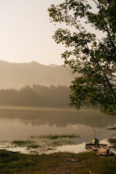 宁静的湖面、雾气缭绕的山脉以及日出时刻的树木共同构成了一幅平静的风景画