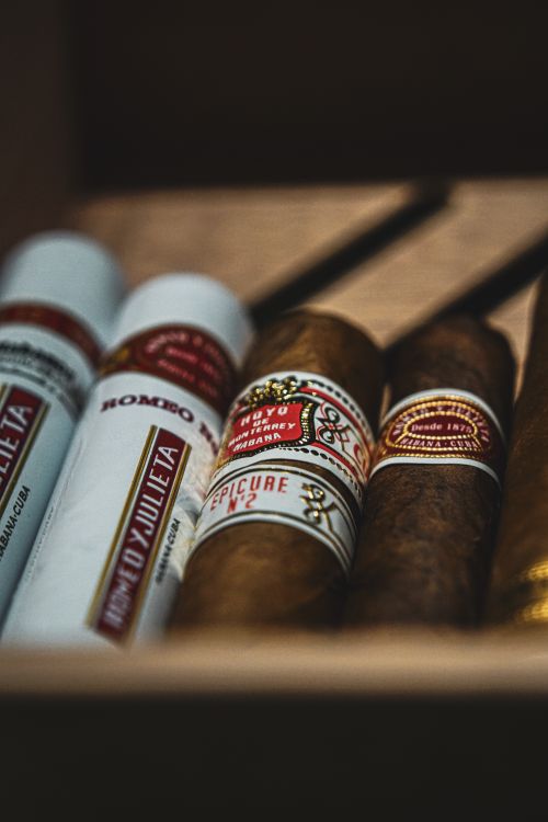 Free High-quality cigars displayed in a wooden box, showcasing premium packaging. Stock Photo