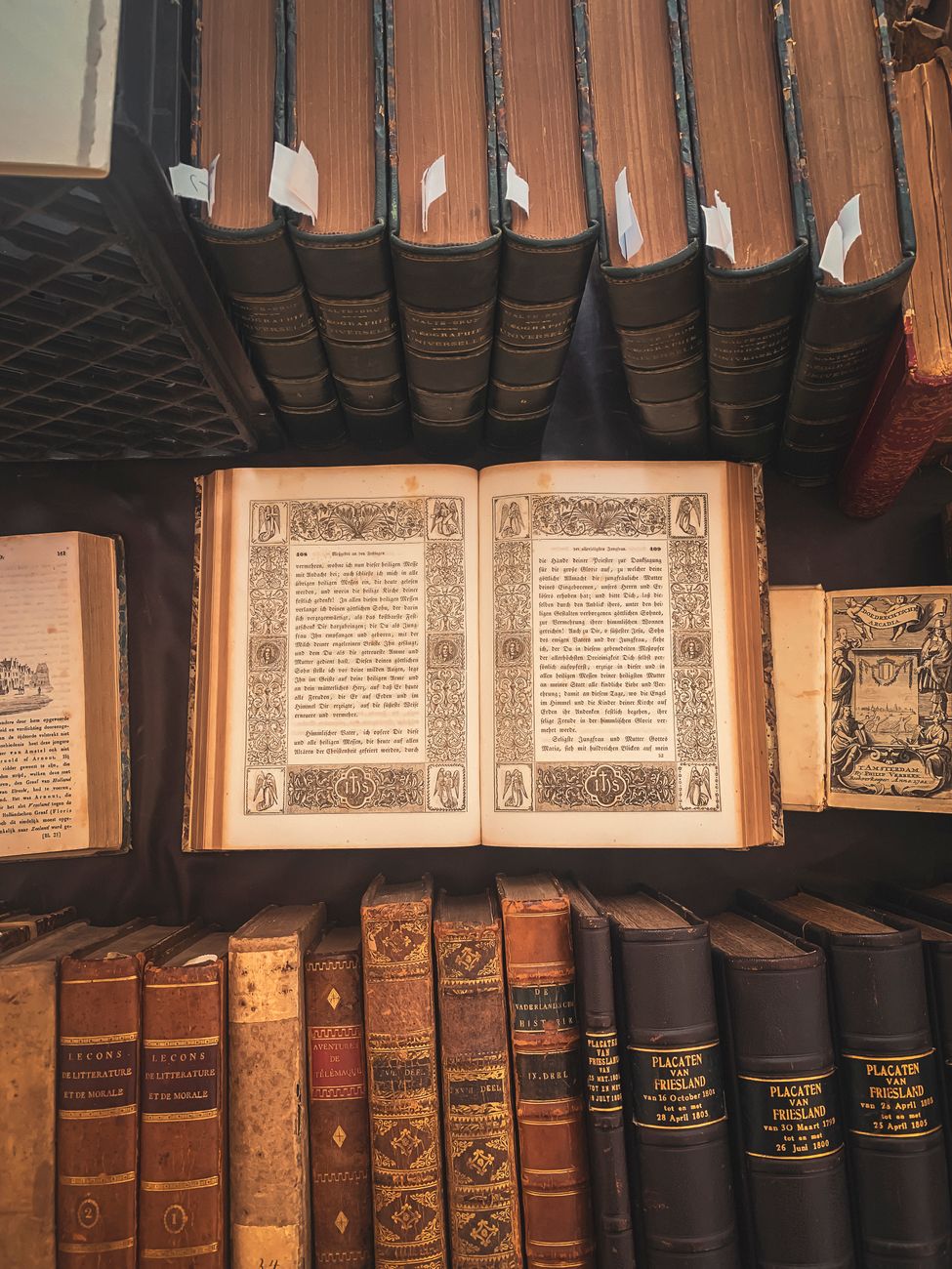 Book Fair opens tomorrow for its 50th edition