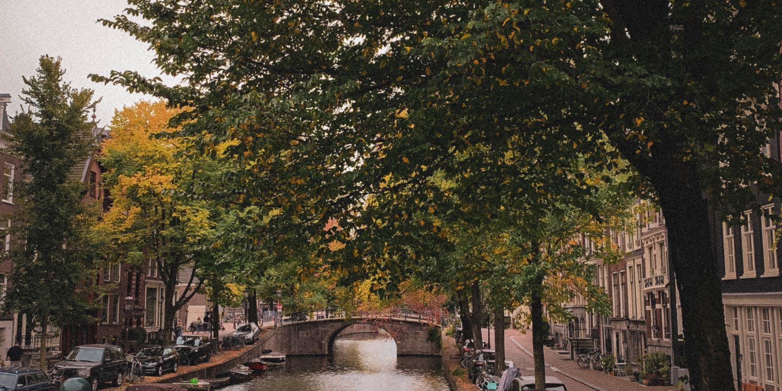 Amsterdam canal lined with historic houses and autumn trees