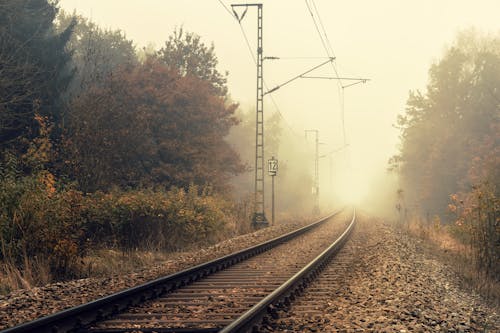 Tren Ferrocarril Entre árboles