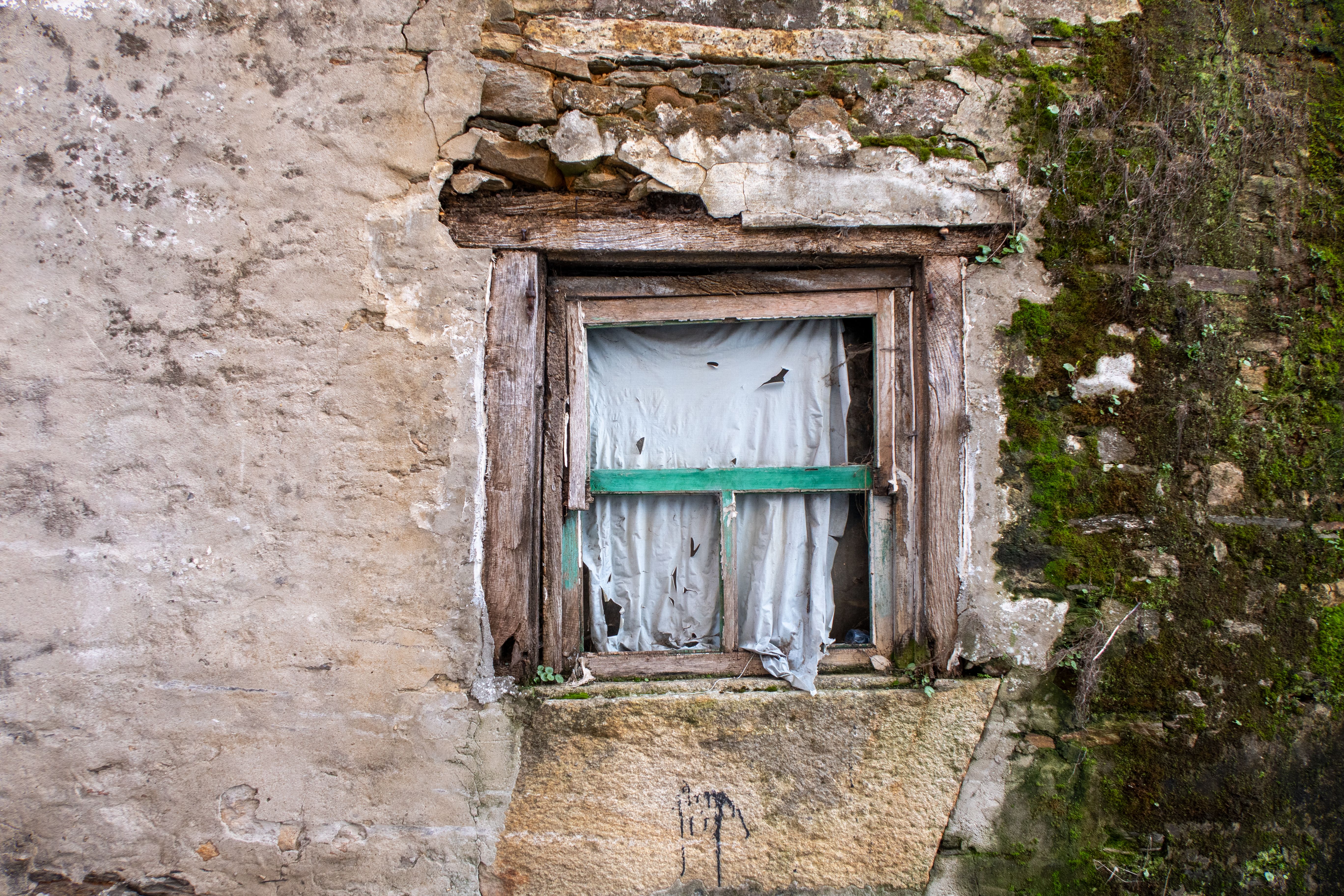 Weathered Abandoned Window with Mossy Wall · Free Stock Photo