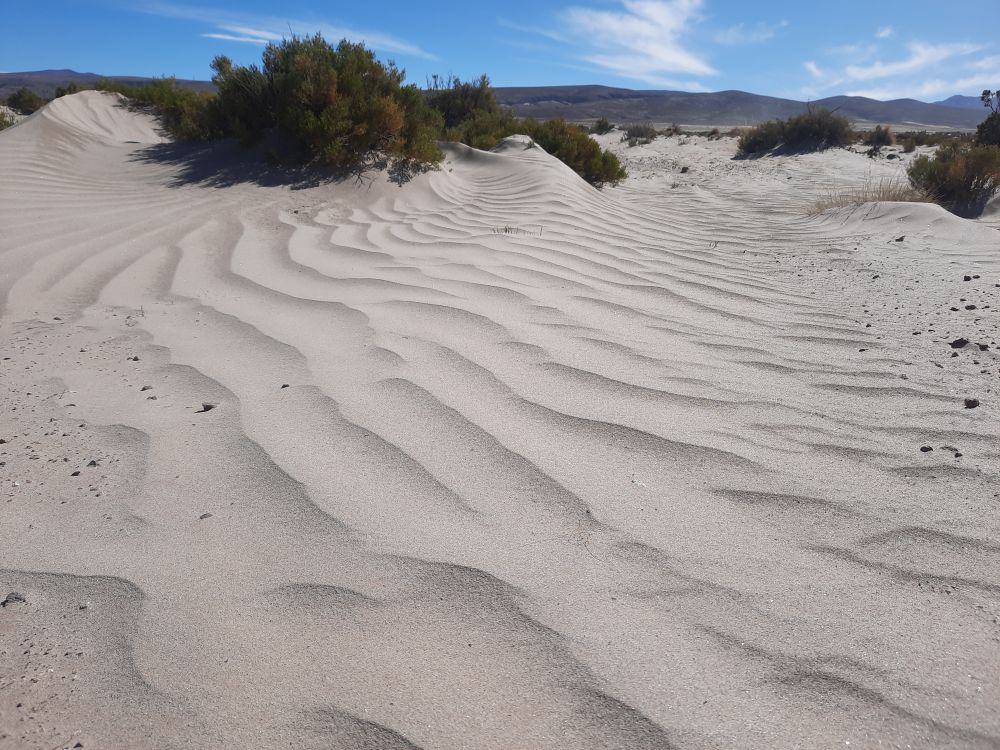Drylands
