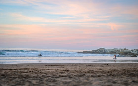 好的，我会按照您的要求进行句子的优化