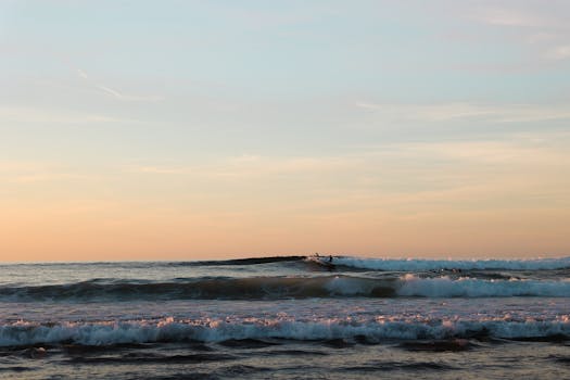 日落时分，巴斯克海岸，冲浪者在宁静的海洋中冲浪