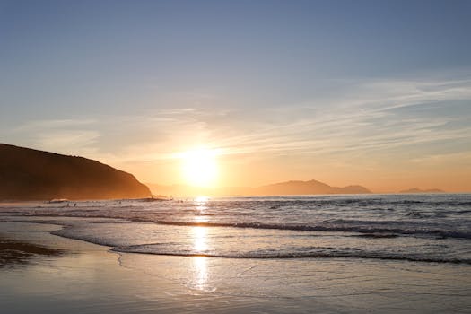 好的，我会按照您的要求进行句子的优化