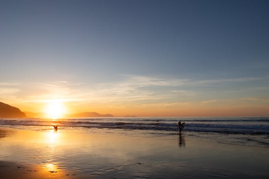 好的，我会按照您的要求进行优化