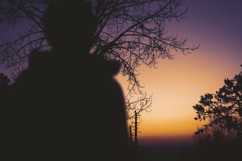 Free A silhouette of a man standing against a vibrant twilight sky with bare trees. Stock Photo