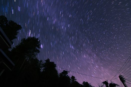 夜晚，迷人的星径在剪影般的森林中旋转