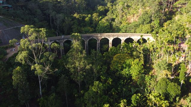 Train journey through tea estates in hill country