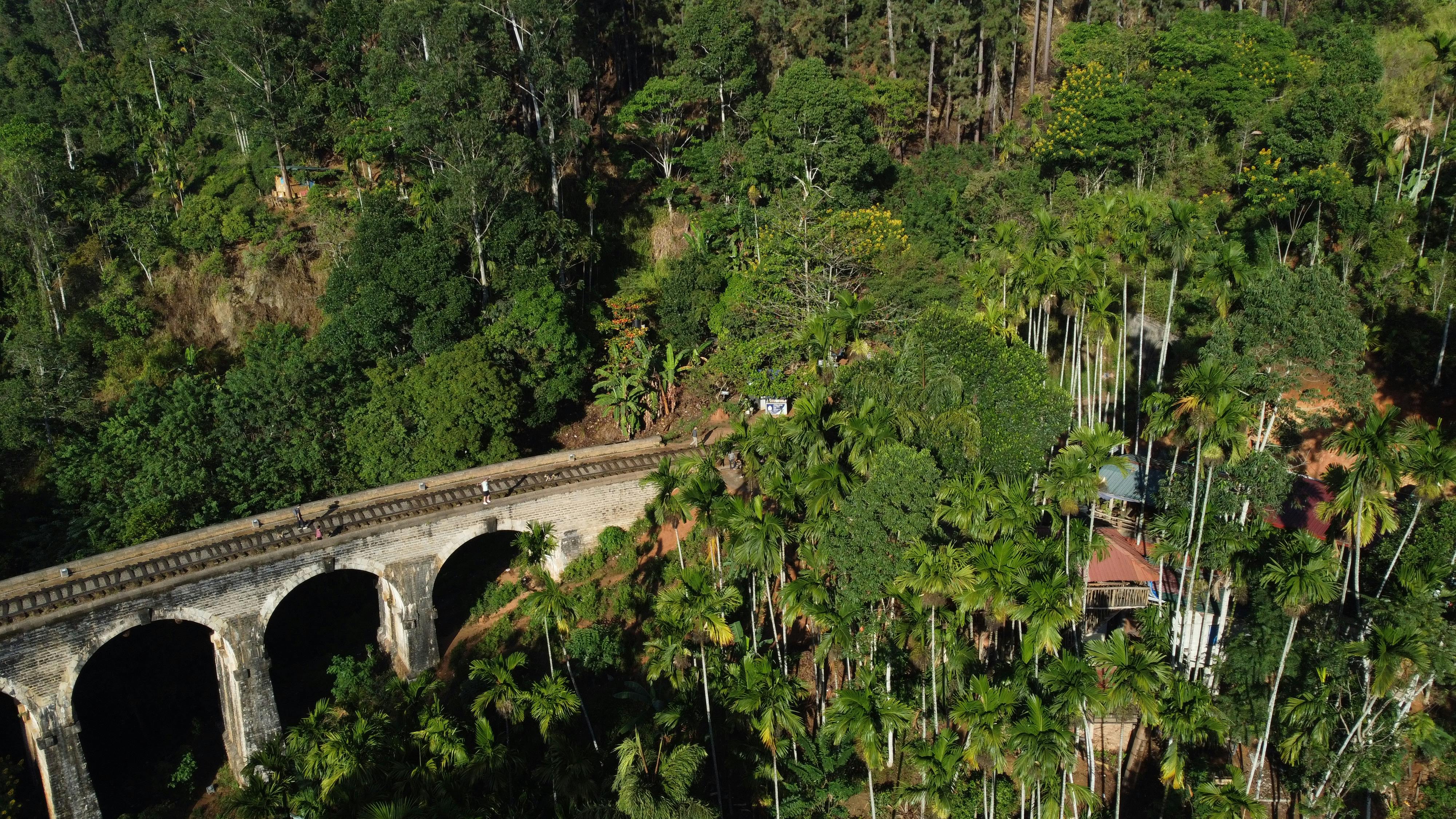 Pexels Photo 34218651