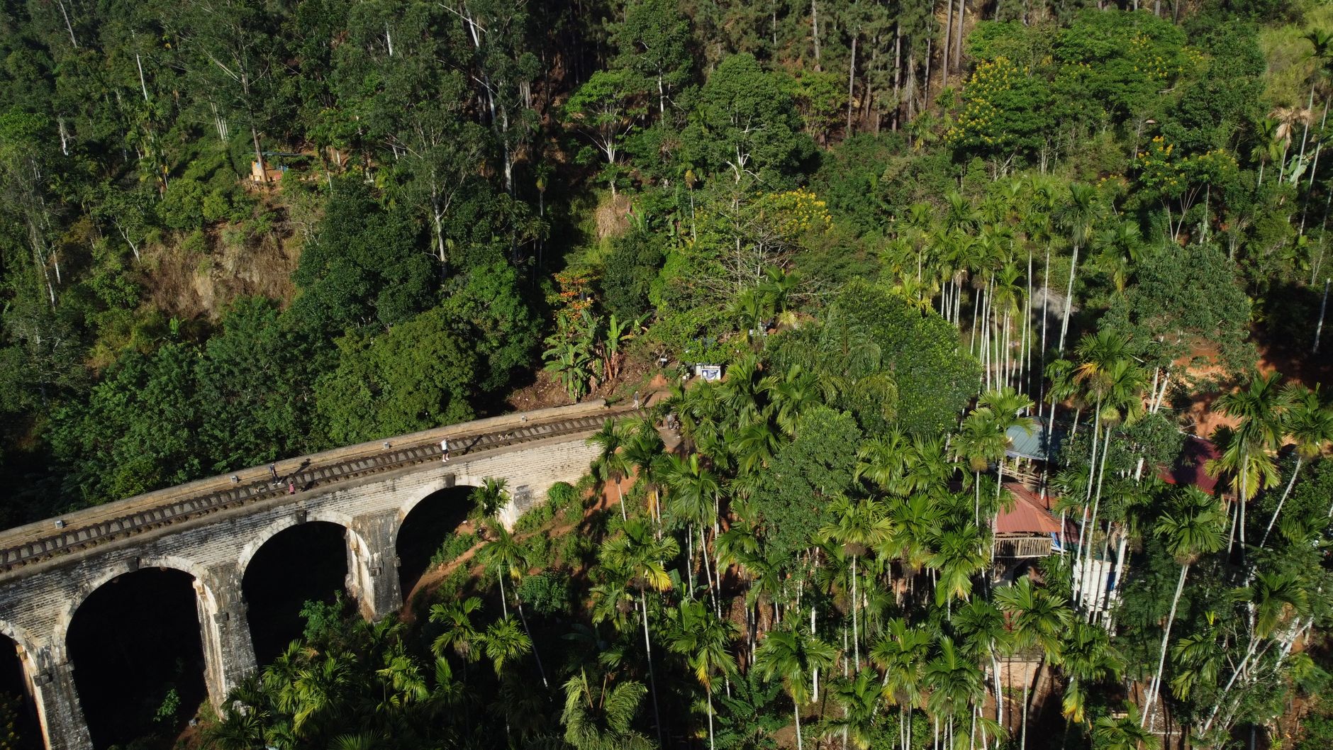 Best Hotels in Ella, Sri Lanka