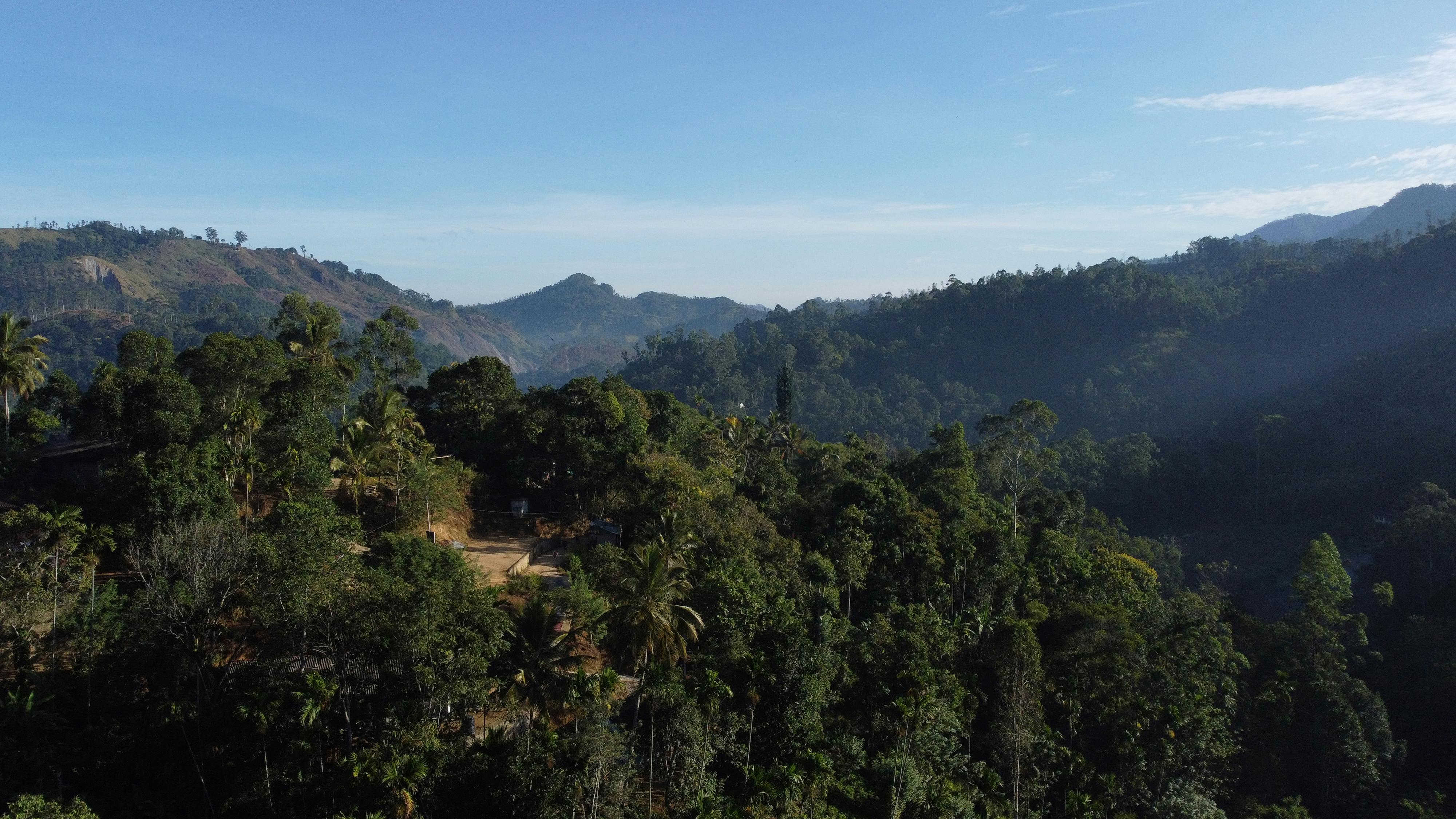 好的，我会按照您的要求进行句子的优化
