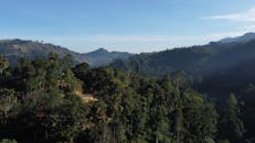 好的，我会按照您的要求进行句子的优化