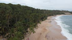 好的，我会按照您的要求进行句子的调整