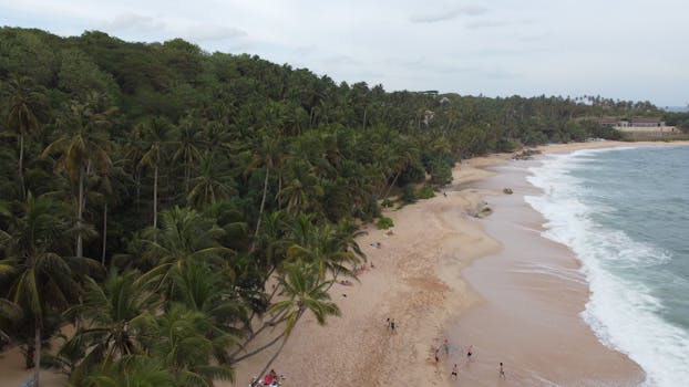 好的，我会按照您的要求进行句子的调整