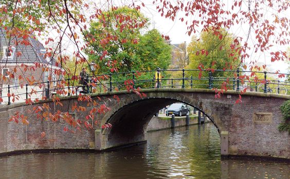 Picturesque bridge over a canal in Amsterdam with autumn leaves.