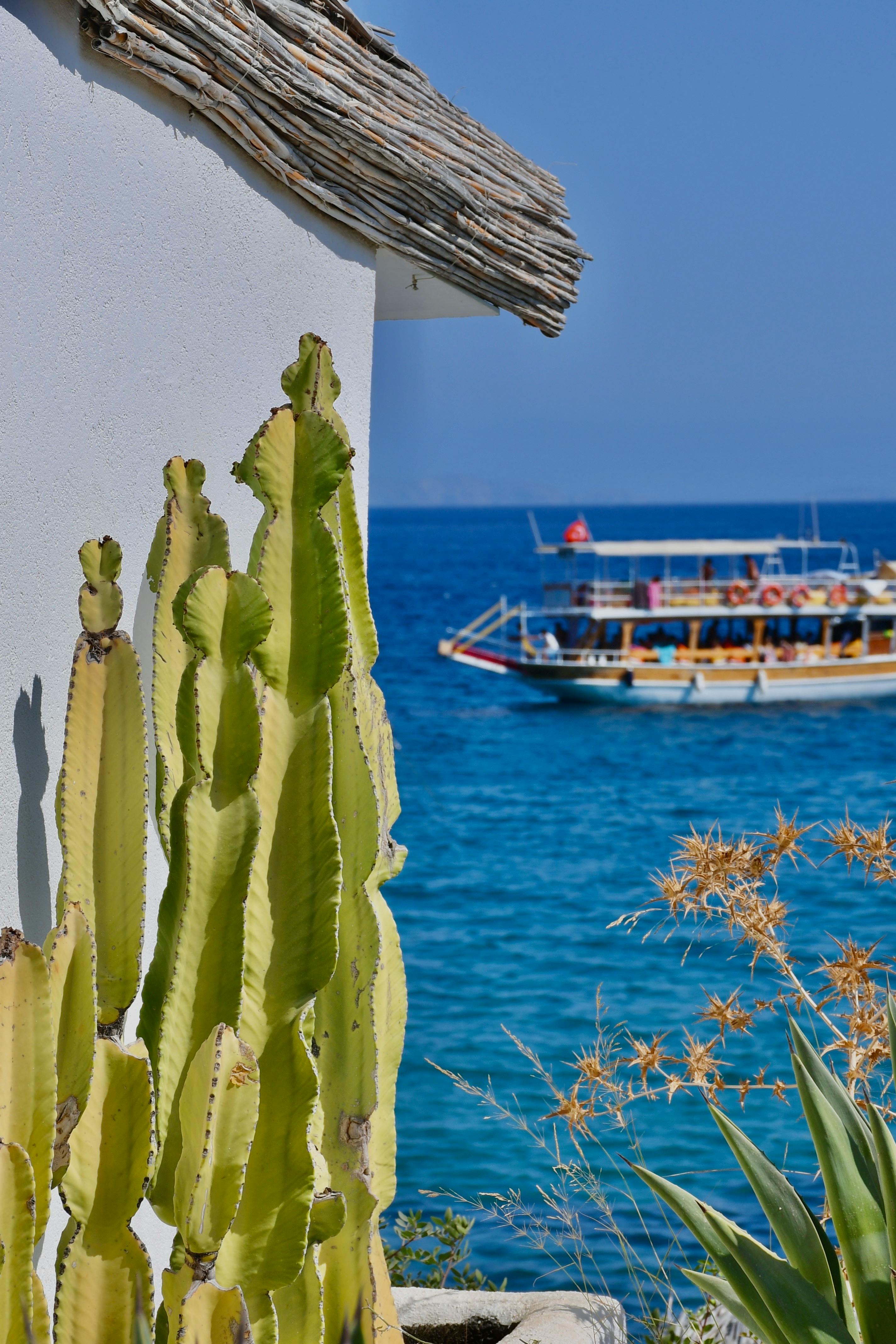 地中海的海岸线，风景如画，有着仙人掌、质朴的屋顶和色彩缤纷的船只