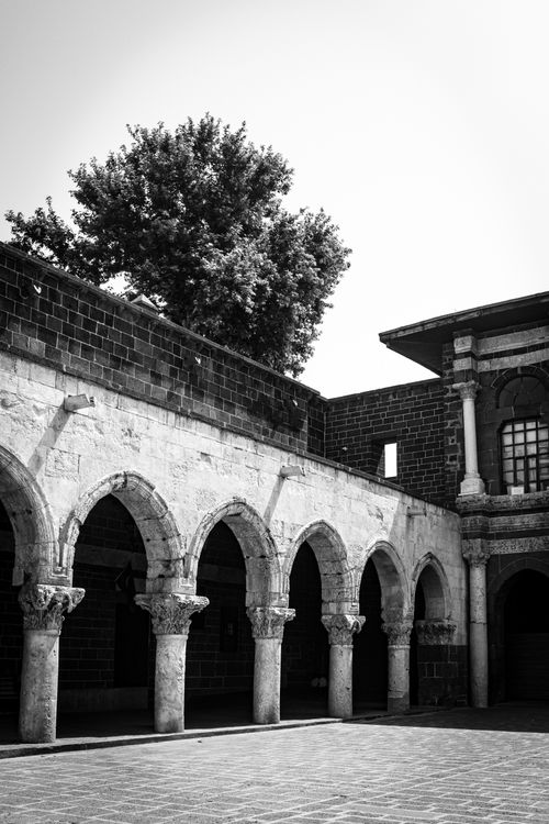 Free Black and white image of historical architecture with arches and a tree. Stock Photo