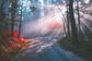 Artwork for From Park Ranger to Entrepreneur: Jody Maberry’s Journey of Balance and Big Changes - Jody Maberry